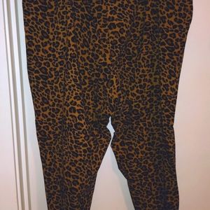 Terra & Sky Stretch Trouser - 4x - New